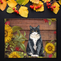 Zeg Dank Kat en Zonnebloemen Herfst Thanksgiving
