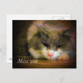 Zeg dat ik je mis met deze Schattigee trieste kat Briefkaart (Voorkant / Achterkant)