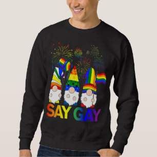 Zeg Gay Lgbt Drie Gnomes Lgbt Pride Trui