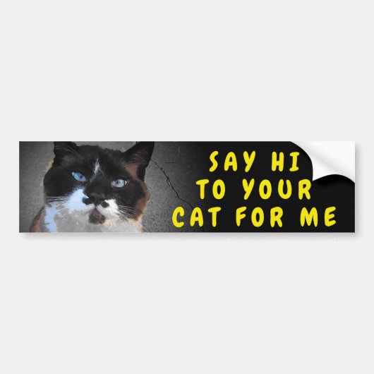 Zeg gedag tegen je Bumpersticker van Cat Meme (Voorkant)