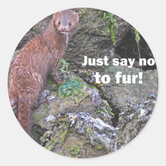"Zeg gewoon nee tegen bont" Mink Ronde Sticker (Voorkant)