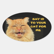 Zeg hallo tegen je kat ovale Sticker