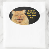 Zeg hallo tegen je kat ovale Sticker (Tas)