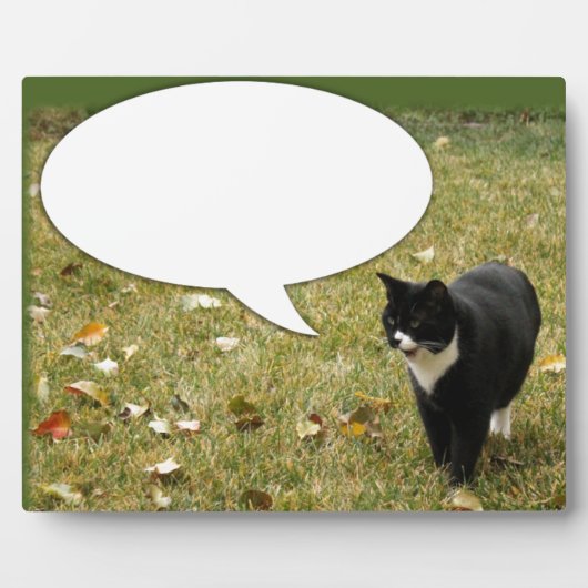 Zeg iets over het knakkeltje fotoplaat (Voorkant)