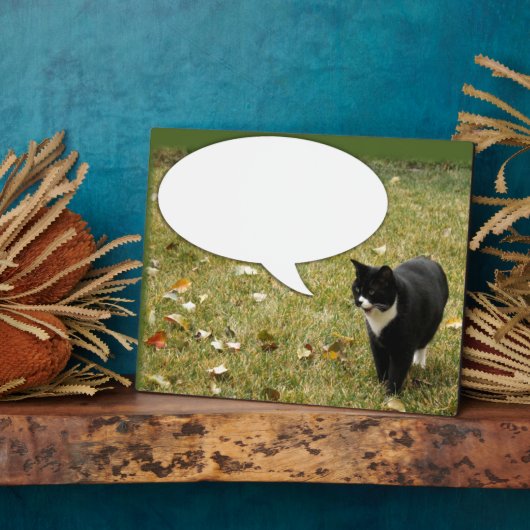 Zeg iets over het knakkeltje fotoplaat (Zijkant)