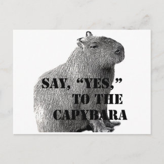 Zeg: "Ja" tegen het Capybara Briefkaart