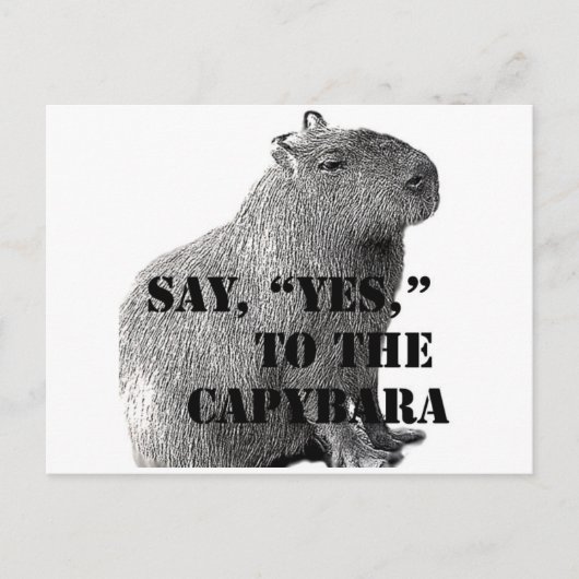 Zeg: "Ja" tegen het Capybara Briefkaart (Voorkant)