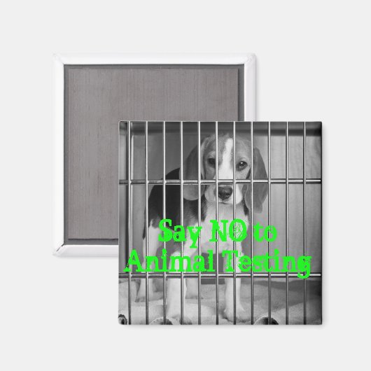 "Zeg nee tegen dierproeven" Beagle magnet (Voorkant / Achterkant)