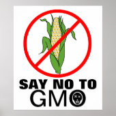 Zeg nee tegen GGO-maïskolf Poster (Voorkant)