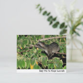 Zeg nee tegen Kopi Luwak Briefkaart (Staand voorkant)