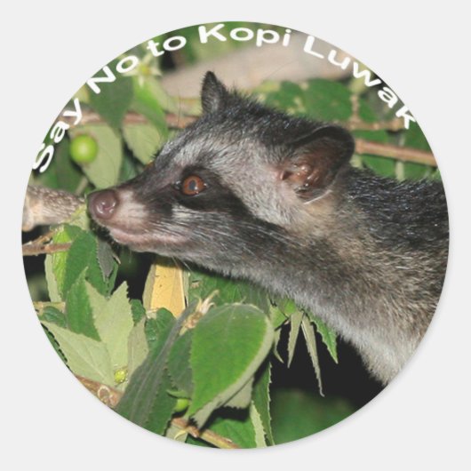 Zeg nee tegen Kopi Luwak Sticker (Voorkant)