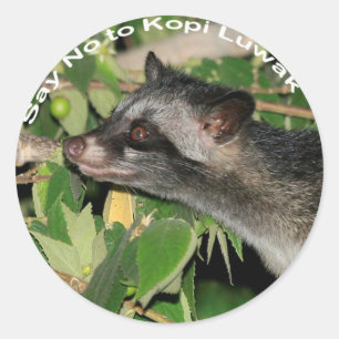 Zeg nee tegen Kopi Luwak Sticker
