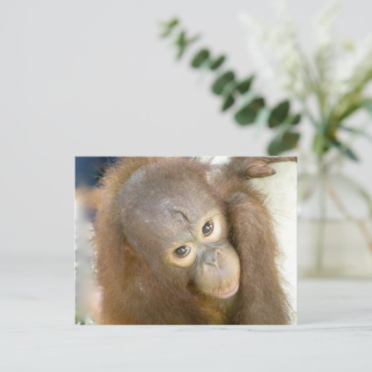 Zeg nee tegen wreedheid briefkaart (Staand voorkant)