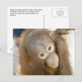 Zeg nee tegen wreedheid briefkaart (Voorkant / Achterkant)