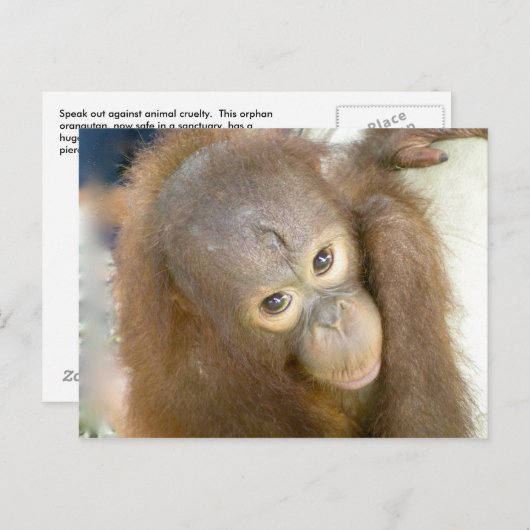 Zeg nee tegen wreedheid briefkaart (Voorkant / Achterkant)