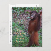 Zeg Neen tegen Bullies met Krista orangutan Briefkaart (Voorkant / Achterkant)