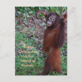 Zeg Neen tegen Bullies met Krista orangutan Briefkaart
