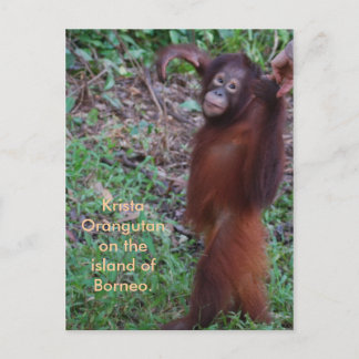 Zeg Neen tegen Bullies met Krista orangutan Briefkaart
