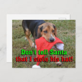 Zeg niet tegen de kerstman dat ik zijn Pet Beagle  Feestdagenkaart (Voorkant / Achterkant)