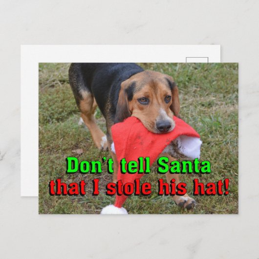 Zeg niet tegen de kerstman dat ik zijn Pet Beagle  Feestdagenkaart (Voorkant / Achterkant)