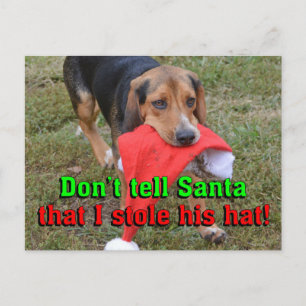 Zeg niet tegen de kerstman dat ik zijn Pet Beagle  Feestdagenkaart