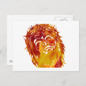 Zeg nr aan stompzinnigheid & onwetendheid. briefkaart (Voorkant / Achterkant)