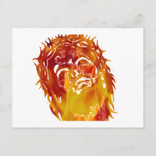 Zeg nr aan stompzinnigheid & onwetendheid. briefkaart