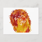 Zeg nr aan stompzinnigheid & onwetendheid. briefkaart (Voorkant)