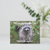 Zeg sorry Raccoon verontschuldigen Briefkaart (Staand voorkant)