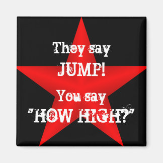 Zeg Spronmagneet Magneet