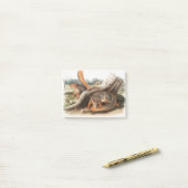 Zeg Squirrel Girl Boy Pet Giftssquirrel feeder Post-it® Notes (Op bureau)