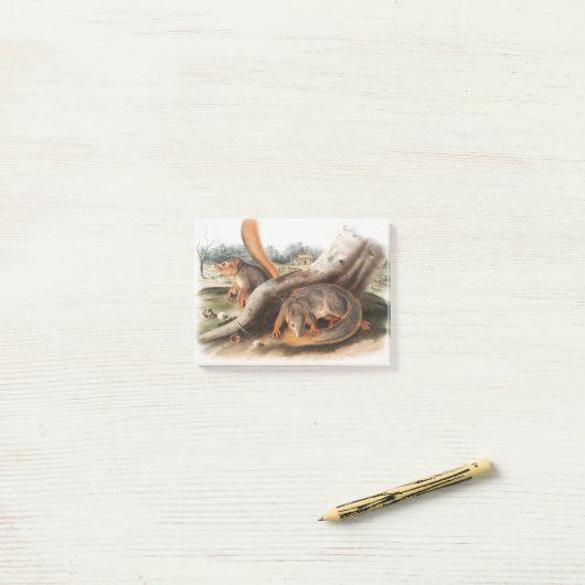 Zeg Squirrel Girl Boy Pet Giftssquirrel feeder Post-it® Notes (Op bureau)