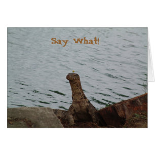 Zeg wat! Watermonitor