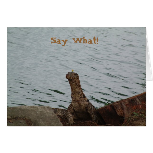 Zeg wat! Watermonitor (Voorkant Horizontaal)