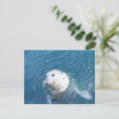 Zegel Briefkaart (Staand voorkant)