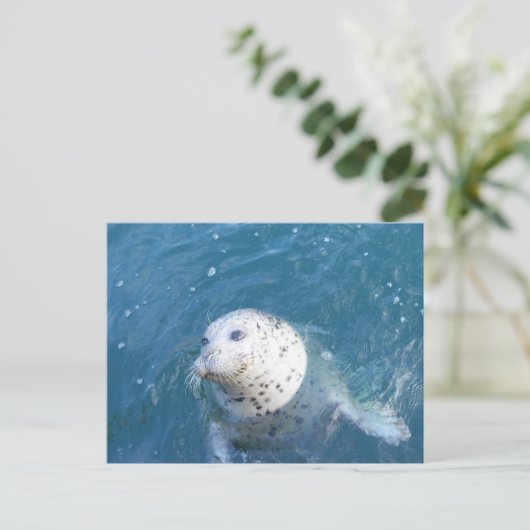 Zegel Briefkaart (Staand voorkant)