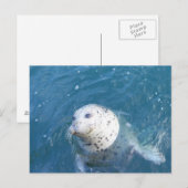 Zegel Briefkaart (Voorkant / Achterkant)