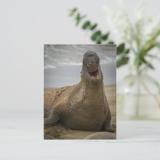 zegel Briefkaart (Staand voorkant)