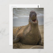 zegel Briefkaart (Voorkant / Achterkant)