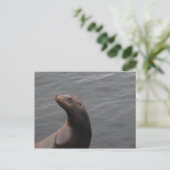 Zegel - CA in Montery Bay Briefkaart (Staand voorkant)