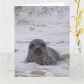 Zegel - Dierenfoto Print Groot Wenskaart Kaart (Gele Bloem)