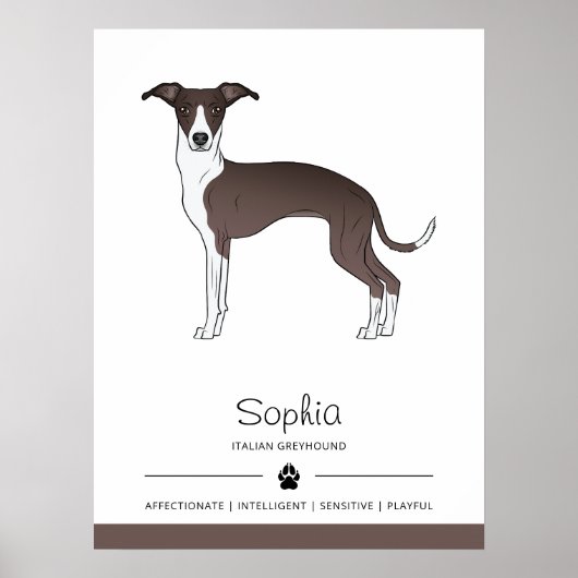 Zegel en witte Italiaanse windhond met aangepaste Poster (Voorkant)