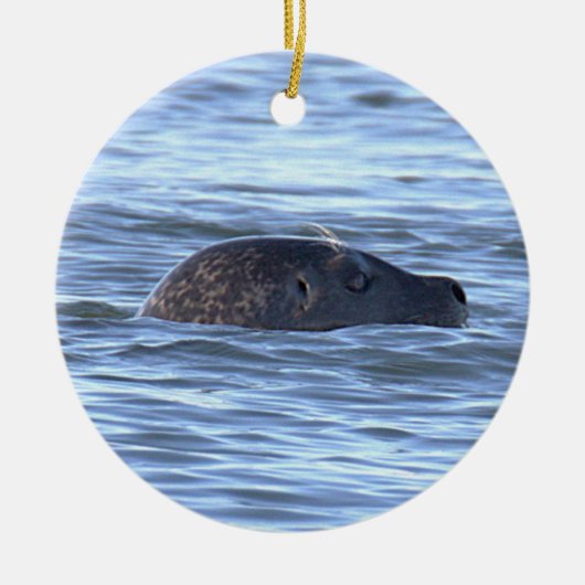 Zegel Foto Ornament (Voorkant)