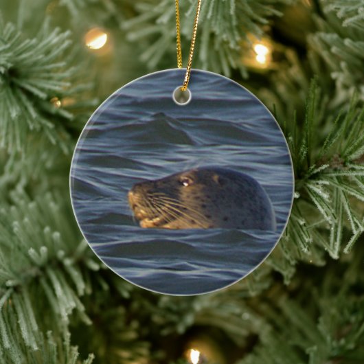 Zegel Foto Ornament (Boom)