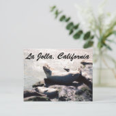 Zegel in La Jolla California Foto Briefkaart (Staand voorkant)