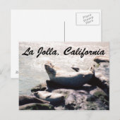 Zegel in La Jolla California Foto Briefkaart (Voorkant / Achterkant)
