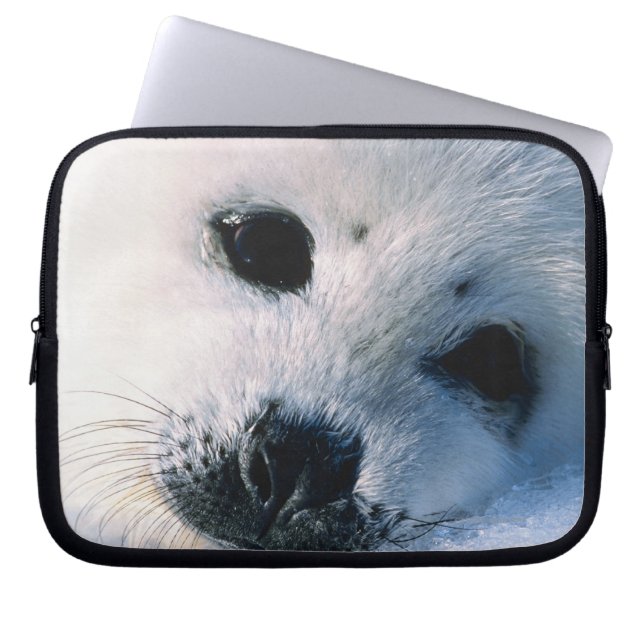 Zegel Laptop Sleeve (Voorkant)