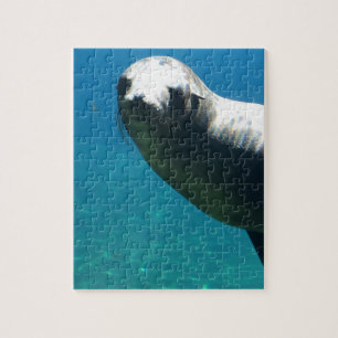 Zegel Legpuzzel
