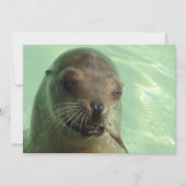 Zegel met visuitnodiging kaart (Voorkant)