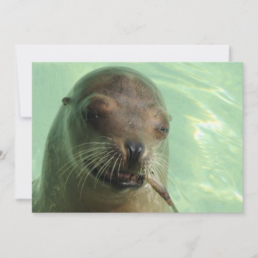 Zegel met visuitnodiging kaart (Voorkant)